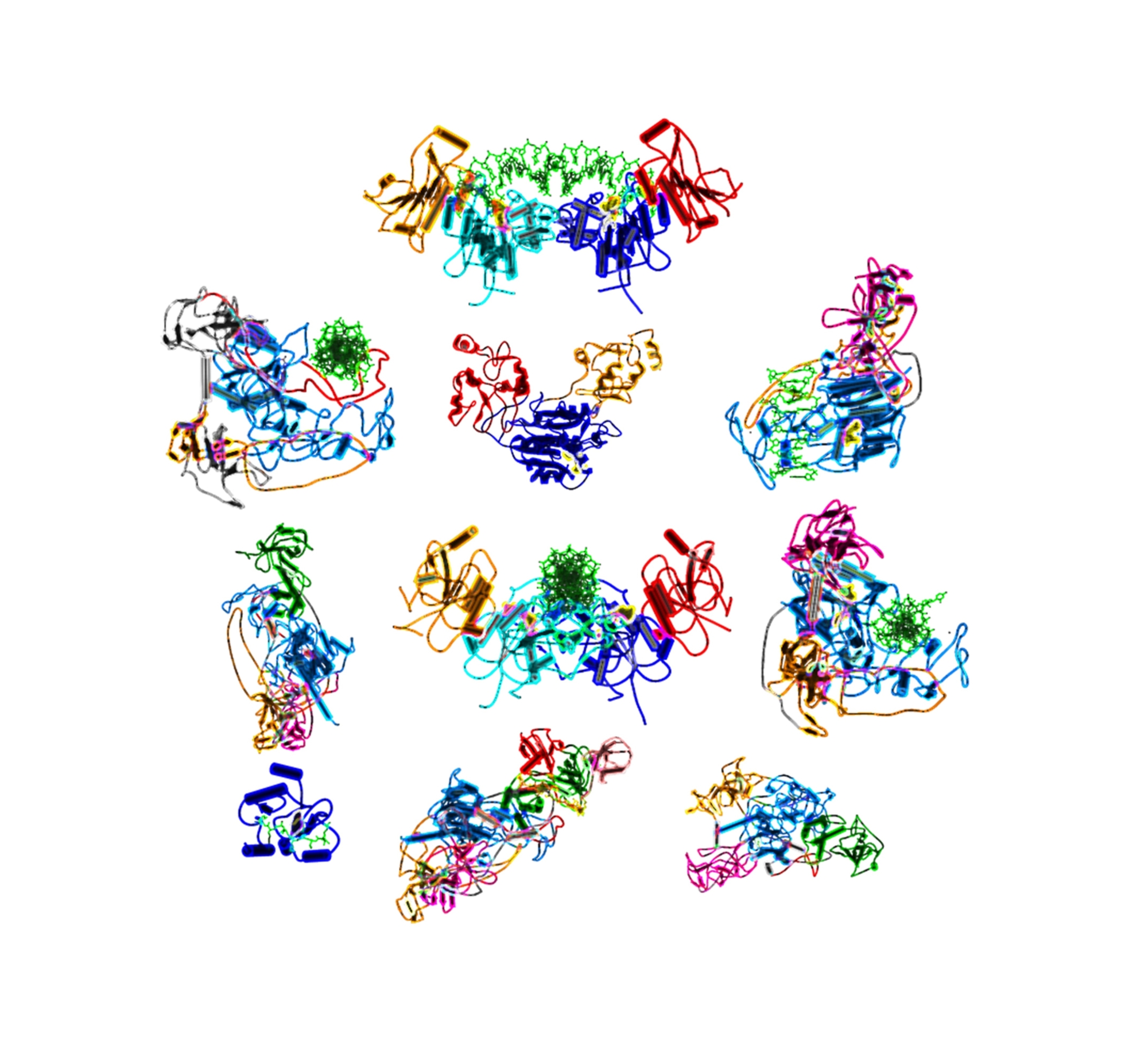 Strukturen von DNA Methyltransferasen