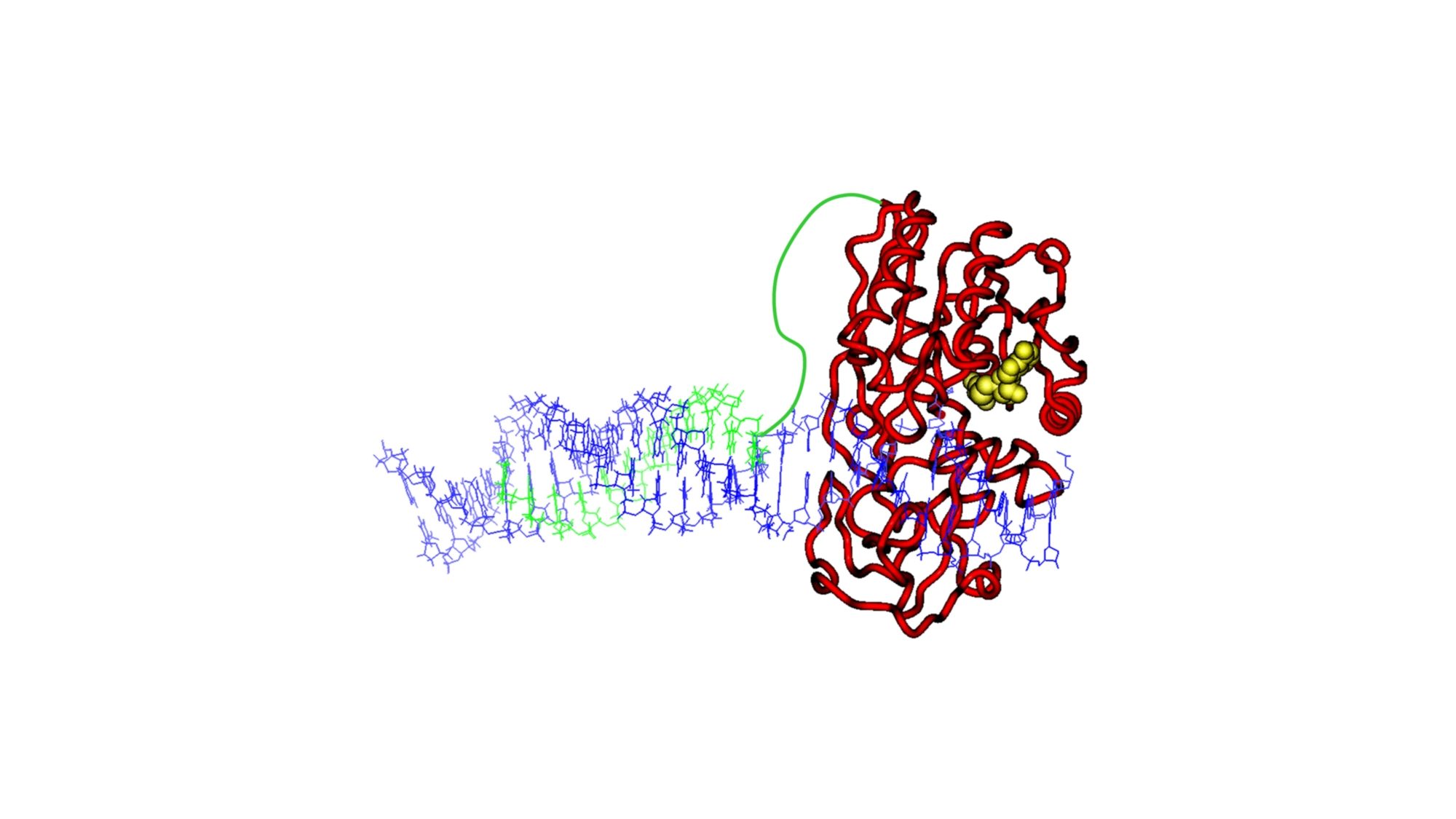 Model of a programmable DNA Methyltransferase